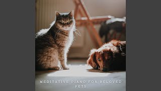Inner Connection Harmonies