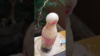 Eksperimen Letusan Dari Cokes And Mentos  Dibuat Oleh M Hazmy Naufal eksperimenrisetcokementos