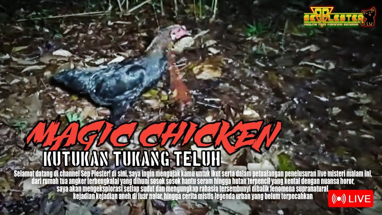 MENCARI PARANORMAL DI TARIK KE ALAM GAIB