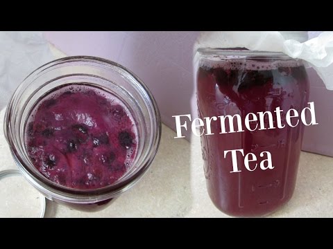 Make Fermented Blueberry Green Tea at Home