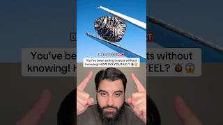 Youre Eating Insects Every Day And You Didnt Know