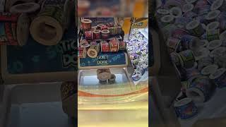 I Won So Many Tickets It BROKE The Machine...