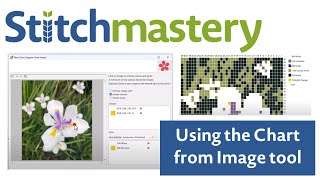 New Chart from Image - Stitchmastery version 3.2.0