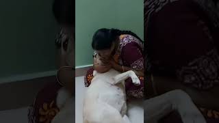 PoV : Indian Mom's who doesn't want a dog ❤️ #anju #mother