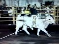 Quintero de Manzanillo vs Chispito del Dixie Rodeo