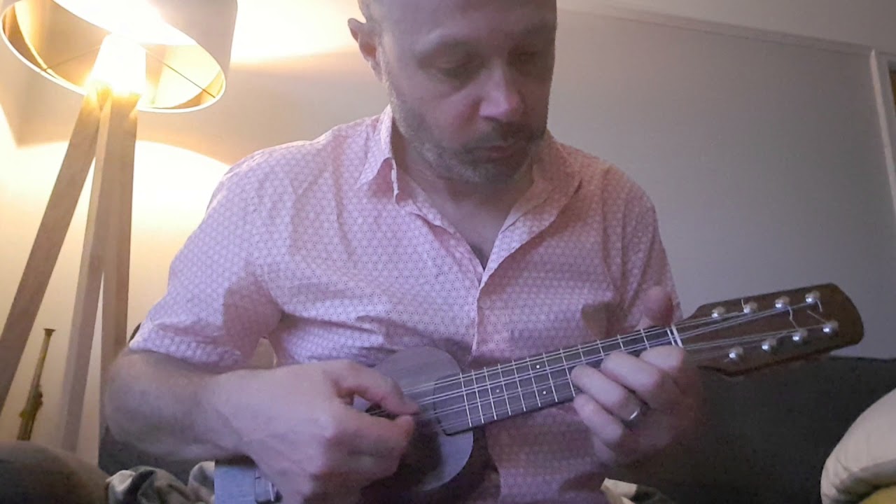 John Ryan's Polka on Mandolele YouTube