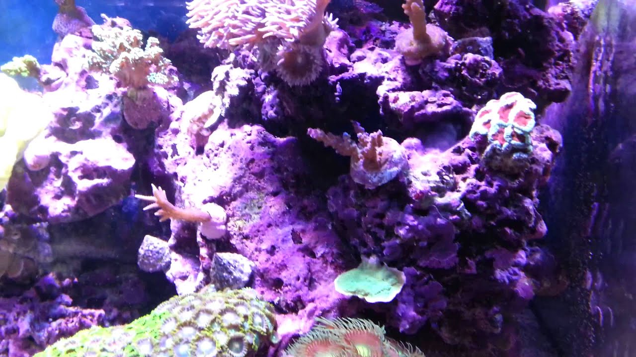 Aquamarine 900 12th Feb 2013 YouTube