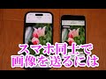 スマホ同士で画像や写真・動画を送るには