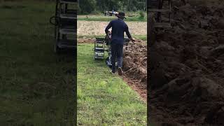 IMG 4648