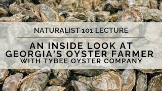 Naturalist 101: An Inside Look at Georgia's Oyster Farmer, with Tybee Oyster Company