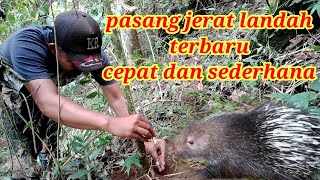 Pasang jerat landak simpel