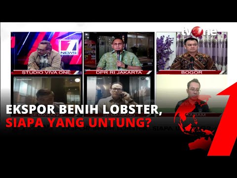 Ekspor Benih Lobster, Siapa yang Untung Dialog tvOne 7 7 2020