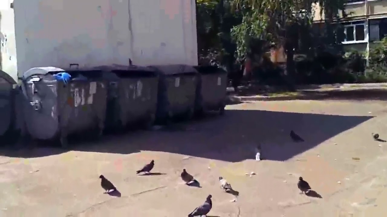 01 Улица Чураивны 3 Кустарное искусство. 18+