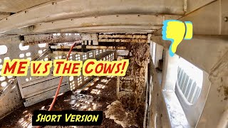 Another Crappy Situation | Livestock Trailer Washout | Short Version