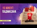 Хатха-йога 15 минут: падмасана (поза лотоса).