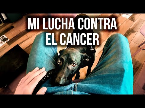 Video: Quimioterapia para Caninos Con Osteosarcoma