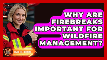 Why Are Firebreaks Important for Wildfire Management? - Inside the Firehouse