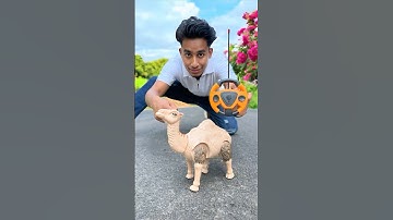 Remote control Snake And Camel Unboxing🔥#shorts