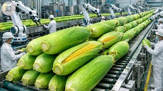 Inside una Fábrica de Leche de Maíz: Así se Produce la Leche Dulce Embotellada
