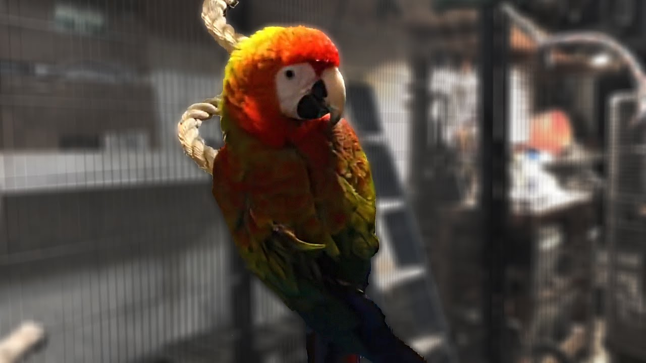 You Guys Might Hate Me After Seeing This Video... | Morgan's Struggle