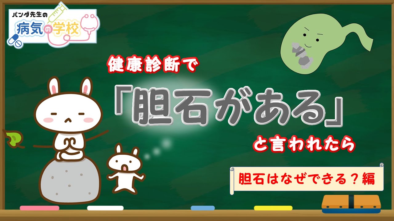 【健康診断で胆石があると言われたら】