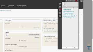 eLearning Intro: Using Global Navigation to Change Text Size, Contrast, and Notification Settings