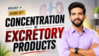 CONCENTRATION OF EXCRETORY PRODUCTS | BIOLOGY | CLASS 12TH | MDCAT+BOARD PREPARATION
