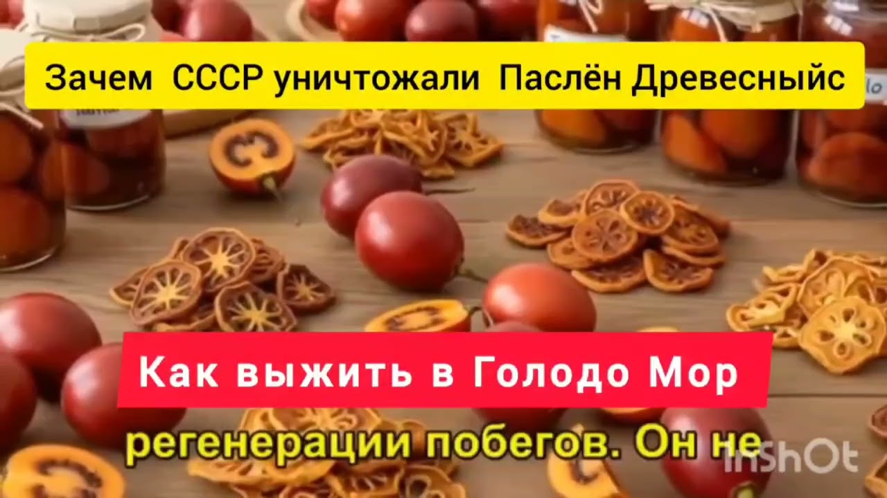Как выжить в голодомор ,  выживание в голод , выживание в холод , безплатная еда ,