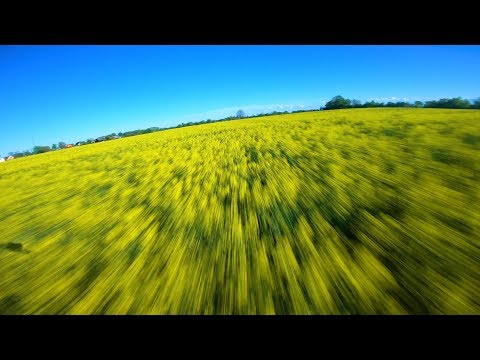 Upside Down - FPV FREESTYLE