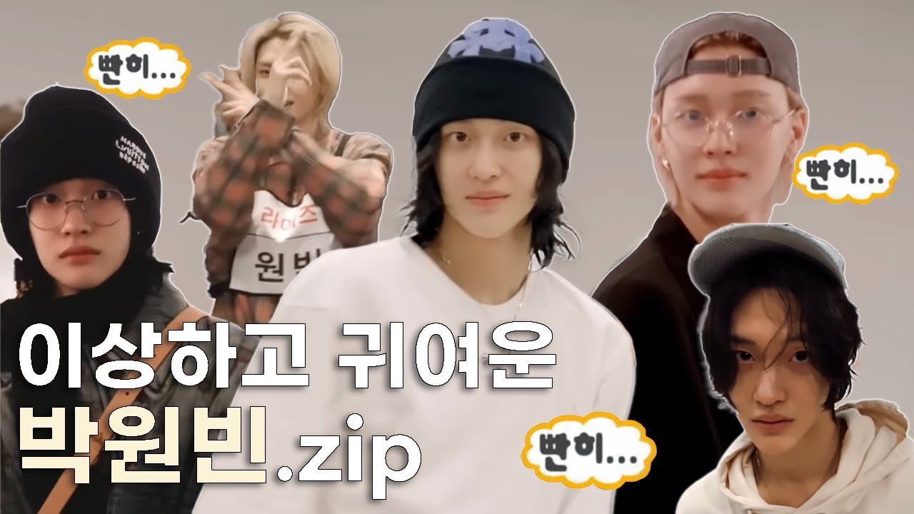 1️⃣ 이상하고 귀여운 박원빈 모음.zip 📁