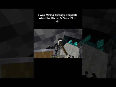 I Was Mining Through Deepslate When the Warden's Sonic Blast Hit