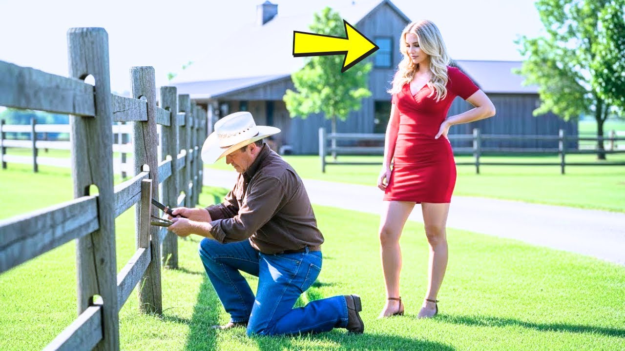 Pere Celibataire Repare La Cloture De Sa Voisine Sans Savoir Qu Elle Possedait La Moitie De La Ville