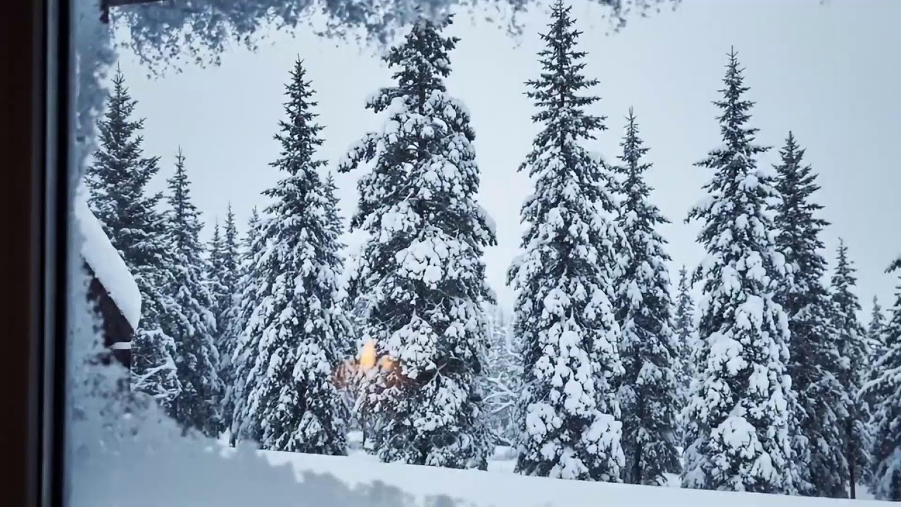 Relaxing Jazz Piano for Pet Calm – Ideal for Animal Relaxation