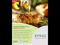 Edible Oil Testing