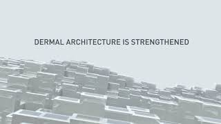 Derm Repair Free Rights Eng