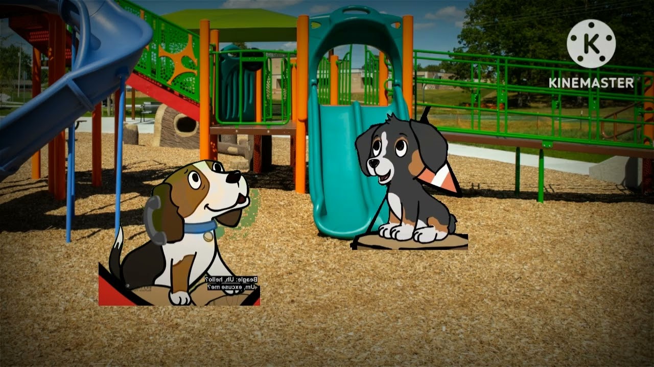 The Wild Wolf Pack Season 8 Episode 4 The Origin Of Willa: Part 2: Finale Episode VIII