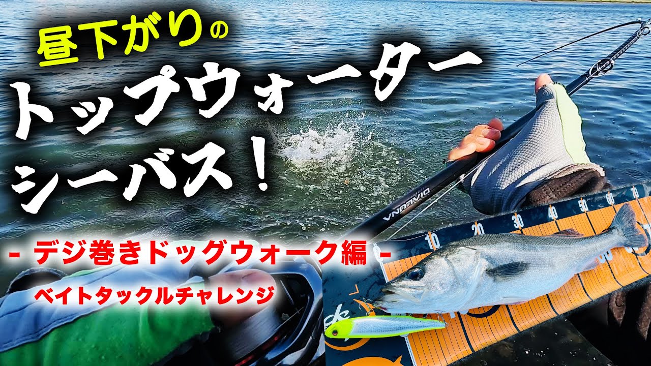 昼下がりのトップウォーターシーバス！ - デジ巻きドッグウォーク編 - ベイトタックルチャレンジ ビッグベイト スラムドッグモンスター180 イマカツ