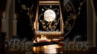 Bienvenido a Nova Aura ✨ No es casualidad que estés aquí 🌙