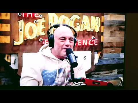 Maynard James Keenan's squirrel joke went over Joe Rogan's head