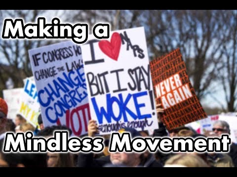 #NationalSchoolWalkout | The Making of A Mindless Movement