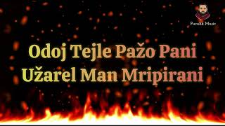 Odoj Tejle Pažo Pani Užarel Man Mripirani Puculik Music Ai 2026