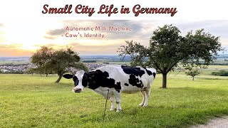 Fresh Milk In Germany With English Suble ஜரமனயன சறய நகரதத வழகக Tmtn My Jdrr