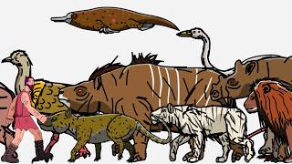Size Comparison: Age of Mammals(Cenozoic Era) part 02(1 of 3)