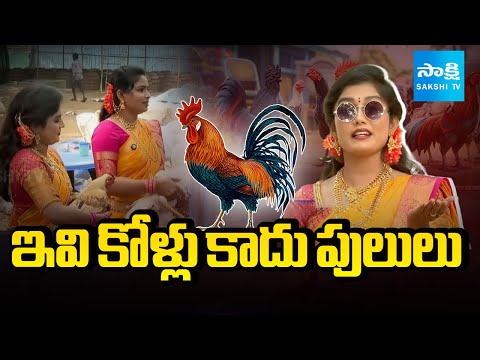 ఫైట్ కి రెడీ.. | Ready For Fight | Sankranti Bettings In East and West Godavari | @SakshiTV - SAKSHITV