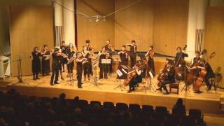 Strauss Metamorphosen (excerpt) | Sydney Camerata