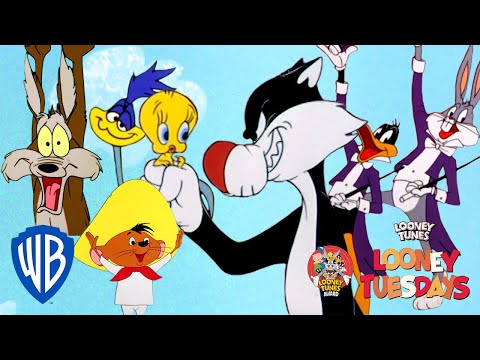 the-looney-tunes-award-nominat