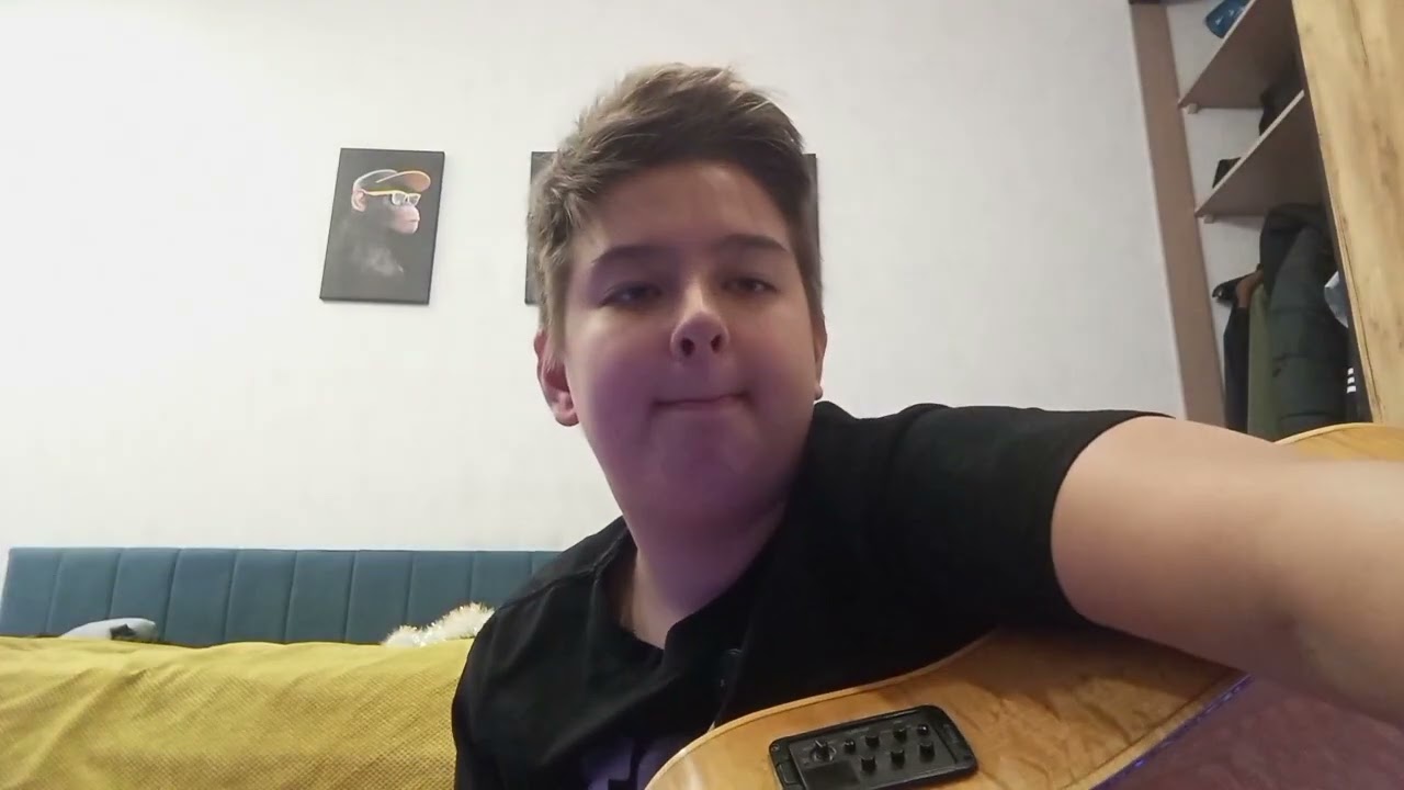 Обзор гитары washburn wd kit.