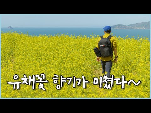 다랭이 마을에서 작은 미술관까지 1박2일 혼자 걷기 / 남해바래길 11코스, 다랭이지겟길, 남파랑길 43코스