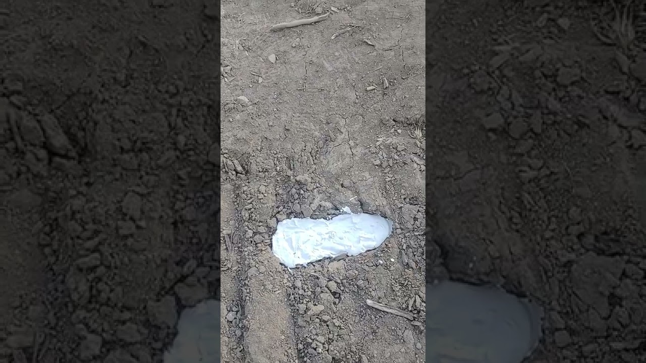 casting a Bigfoot print