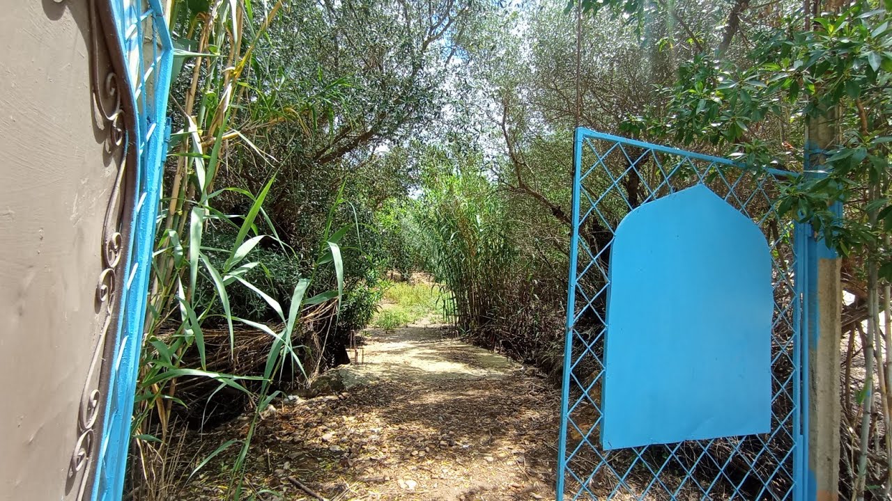 دار بلدية وغريسة 🏡 مساحة 3000متر منطقة الثلاثاء جبل الحبيب🤗0703640826طنجة🌳 العراءش 🌳